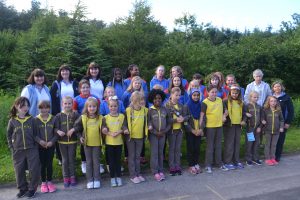 Cove Brownies Guides trees